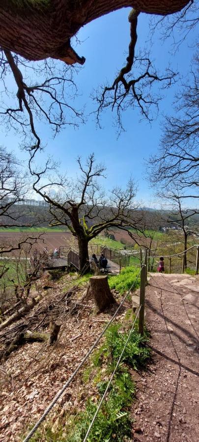 Appartement Froschkoenig Mit Teichblick à Trendelburg Extérieur photo
