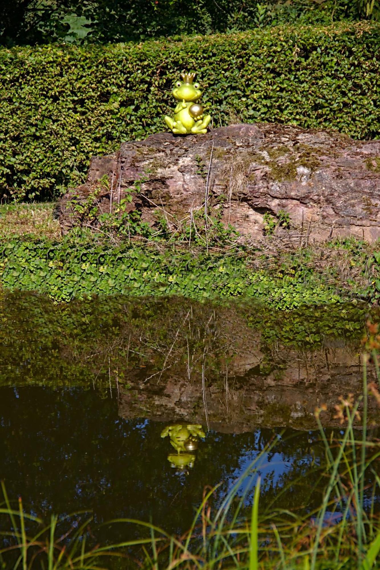 Appartement Froschkoenig Mit Teichblick à Trendelburg Extérieur photo